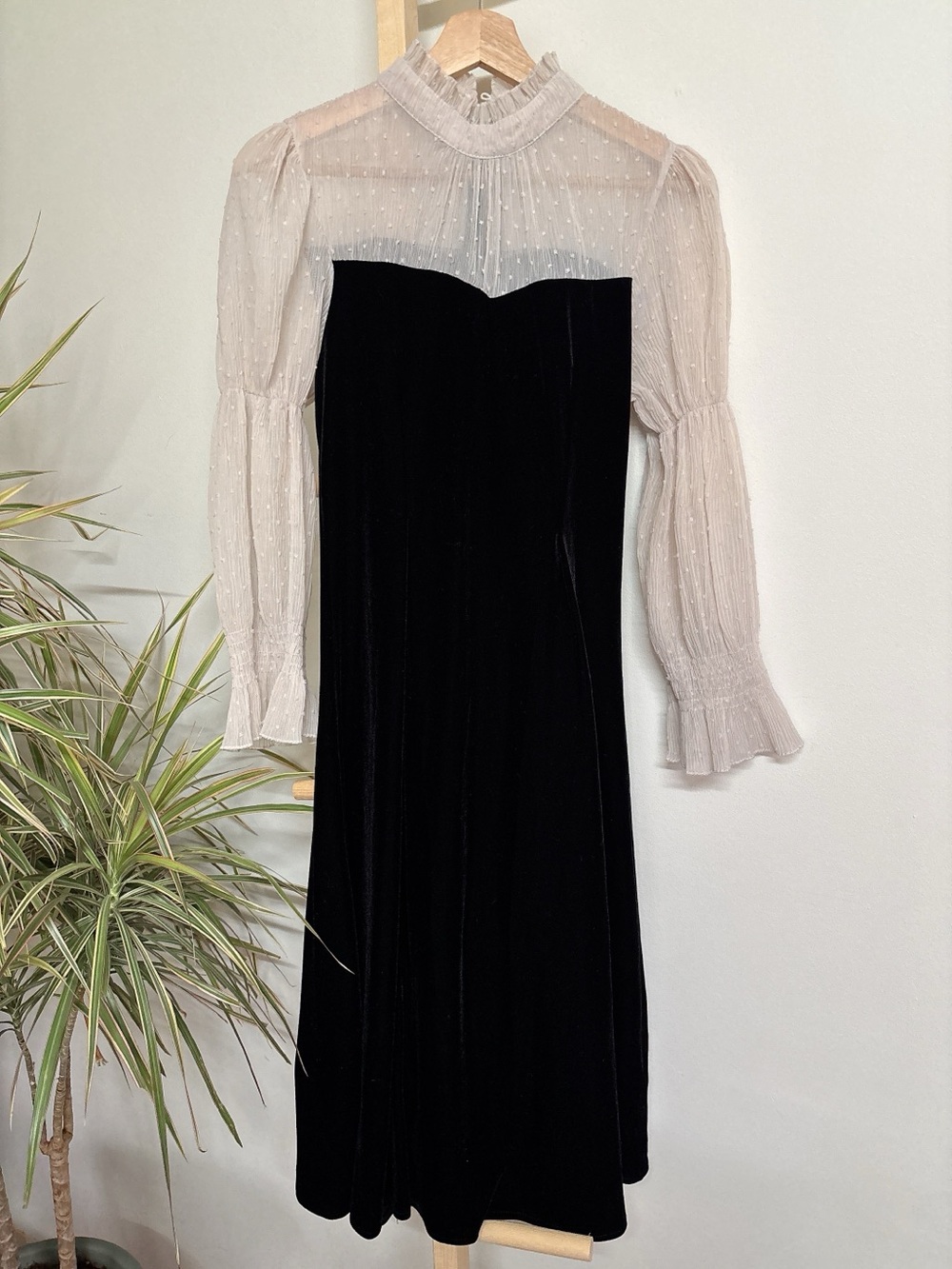 Sheer Ivory and Black Velvet Long-Sleeve Midi Dress